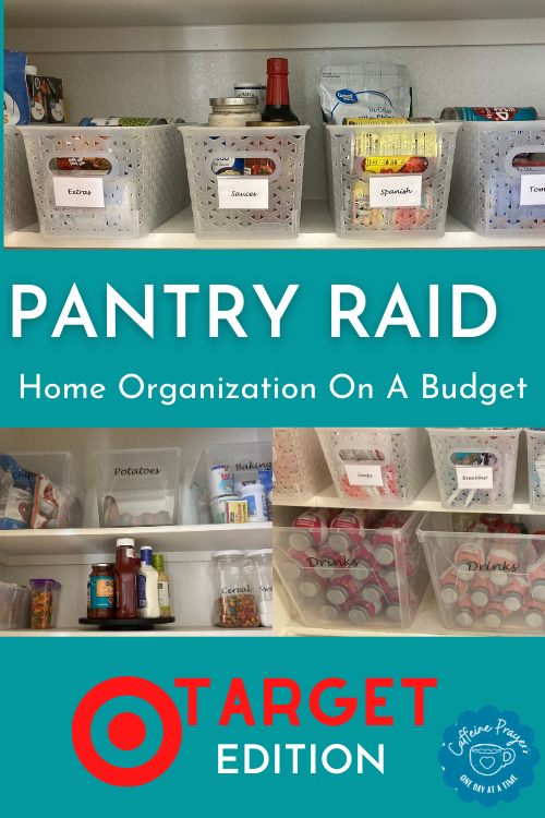 Pantry Raid: Home Organization On A Budget Target Edition